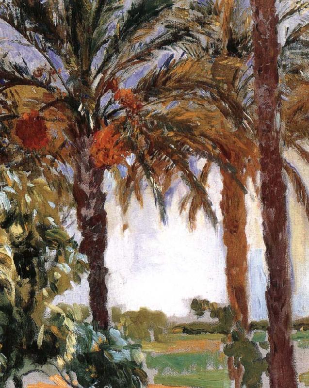 Joaquin Sorolla Palm